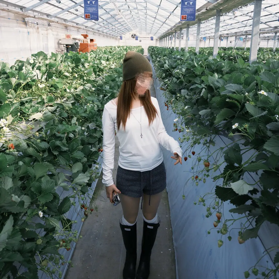 https://digdig-r2-worker.funee.workers.dev/product/6751ca08-56a3-453a-ab1f-b35a55f758b2/b52b5735-a3c0-445f-b0cc-21d8dc2d5fd3
