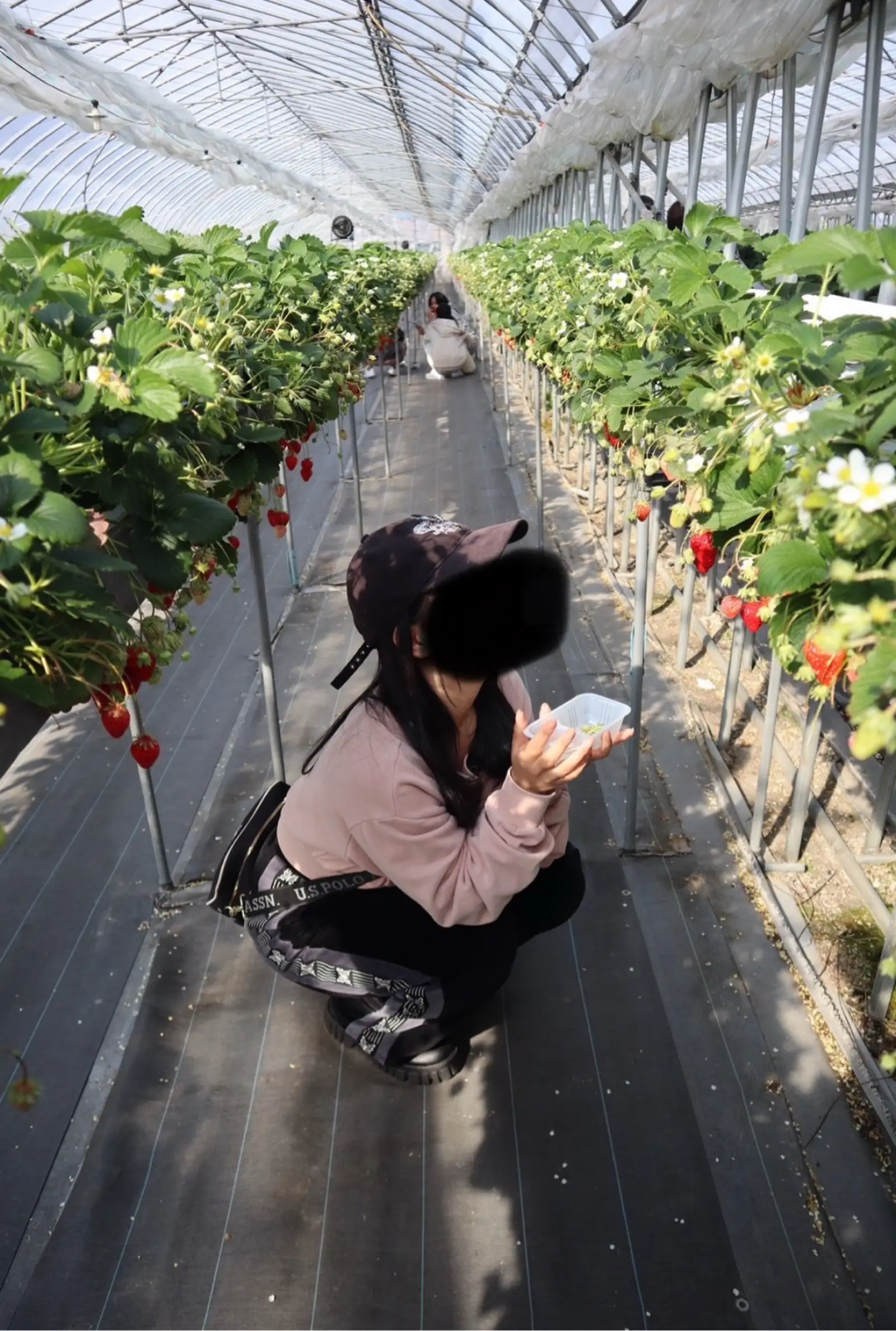 https://digdig-r2-worker.funee.workers.dev/product/962cf6df-06ec-4bb6-95f9-4e4f22197f37/71db1f49-60d3-4a22-85af-a45a8de07155