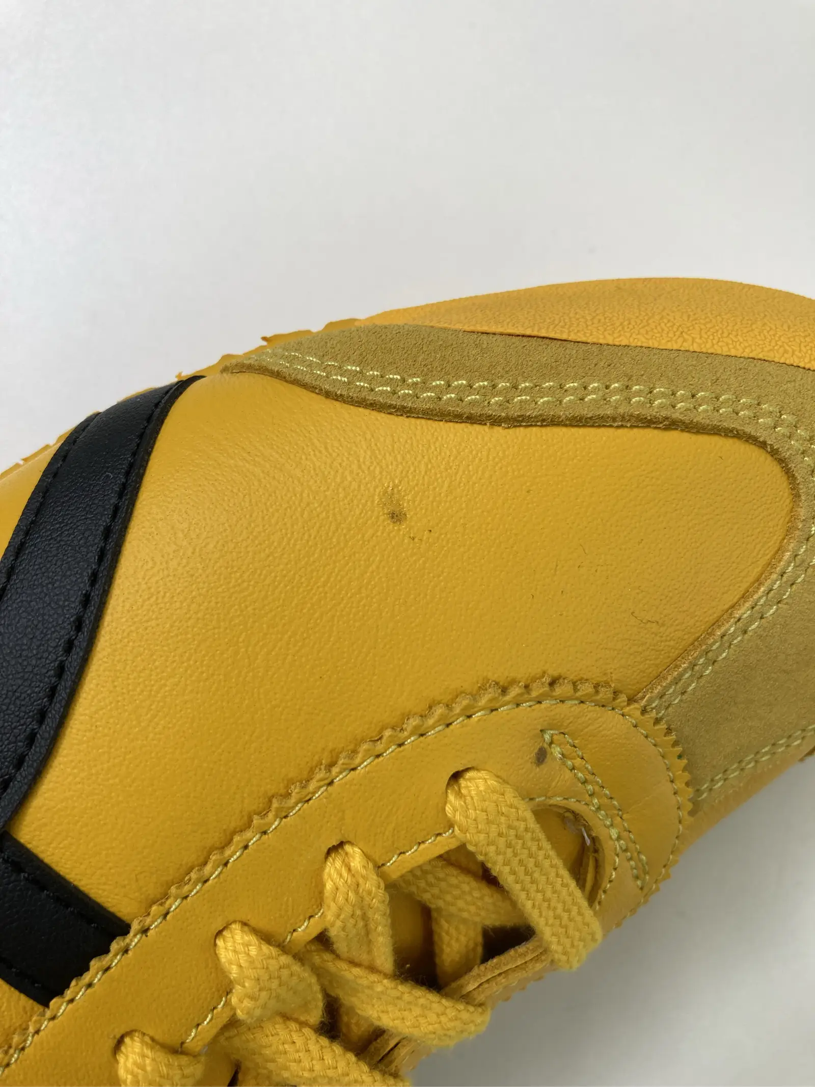 https://digdig-r2-worker.funee.workers.dev/product/a6a2d01f-33a0-40a6-8963-1c319cc68bad/c8aabd57-1544-4243-9d82-10e8956ae719